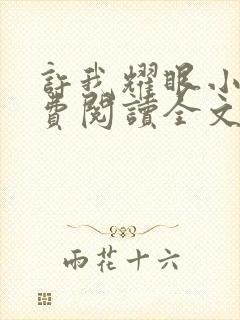 许我耀眼小说免费阅读全文最新章节