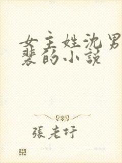 女主姓沈男主姓裴的小说