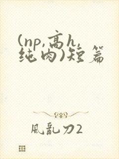 (np,高h,纯肉)短篇