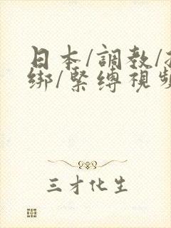 日本/调教/捆绑/紧缚视频