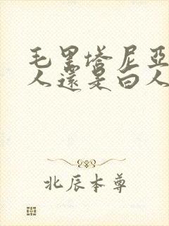 毛里塔尼亚是黑人还是白人