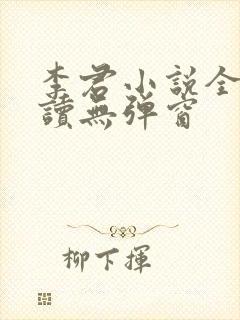 李君小说全文阅读无弹窗