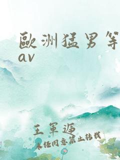 欧洲猛男等一下av