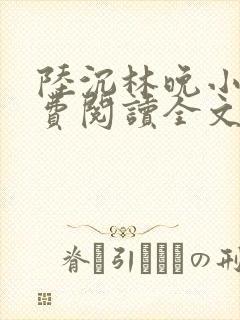 陆沉林晚小说免费阅读全文最新章节