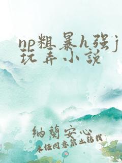 np粗暴h强j玩弄小说