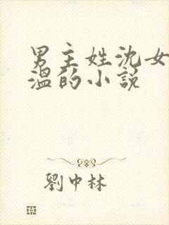 男主姓沈女主姓温的小说
