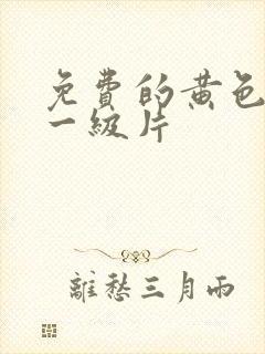 免费的黄色录像一级片