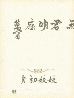 万历明君 无弹窗