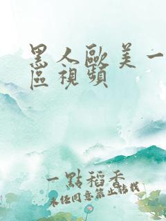 黑人欧美一区二区视频