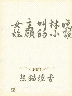 女主叫林晚男主姓顾的小说