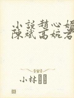 小说赵心媚主角陈斌高婉君