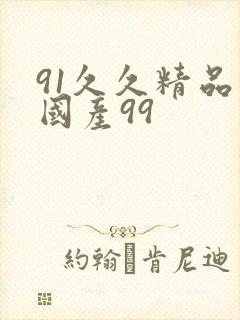 91久久精品口国产99