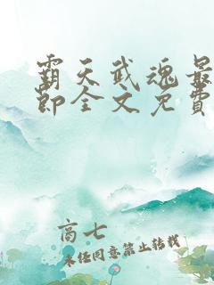 霸天武魂最新章节全文免费阅读