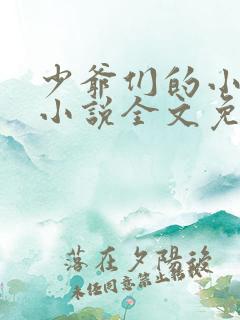 少爷们的小女仆小说全文免费