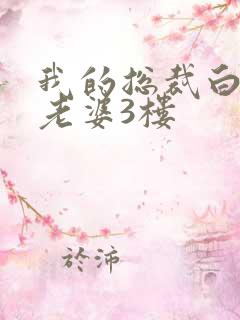 我的总裁白富美老婆3楼