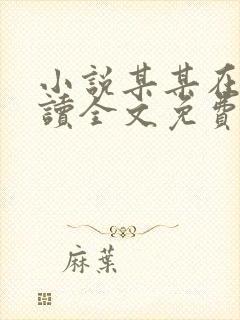 小说某某在线阅读全文免费