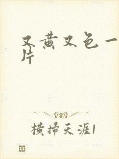 又黄又色一级大片