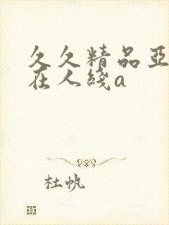 久久精品亚洲成在人线a