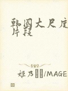 韩国大尺度床戏片段