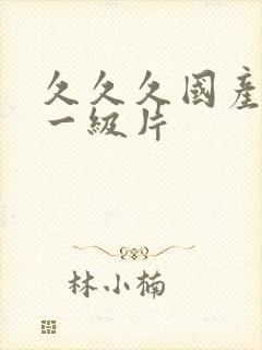 久久久国产精品一级片