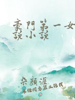 豪门第一女婿小说小说