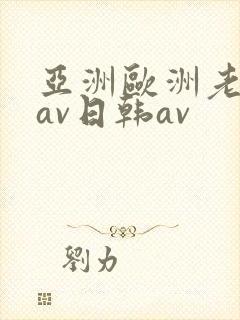 亚洲欧洲老熟妇av日韩av