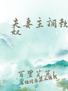 夫妻主调教绿帽奴