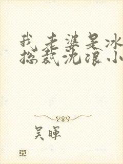 我老婆是冰山女总裁沈浪小说