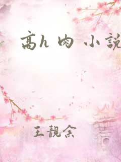 高h 肉 小说