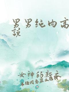 男男纯肉高h小说