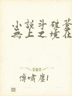 小说斗破苍穹之无上之境在线阅读