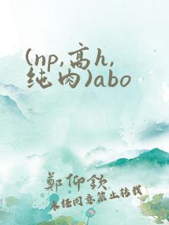 (np,高h,纯肉)abo