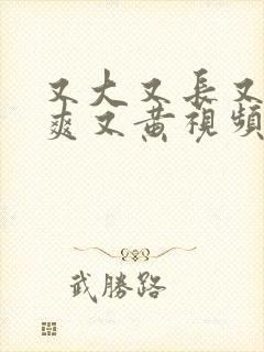 又大又长又粗又爽又黄视频