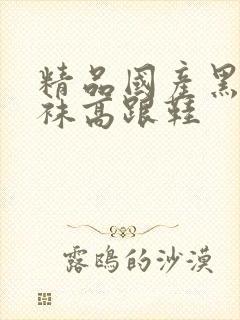 精品国产黑色丝袜高跟鞋