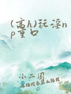 (高h)玩淫np重口