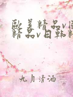 欧美精品v国产精品v日韩精品