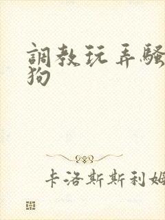 调教玩弄骚货母狗