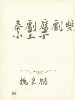 泰剧腐剧双男主小王子