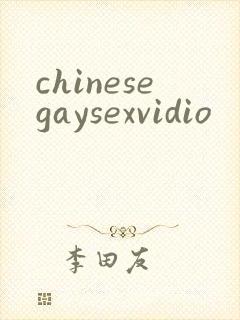 chinesegaysexvidio