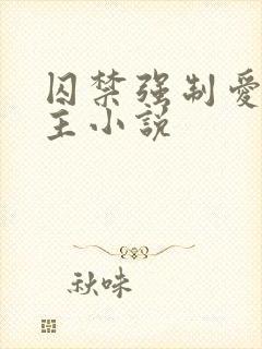 囚禁强制爱双男主小说