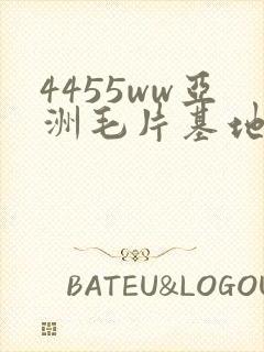 4455ww亚洲毛片基地