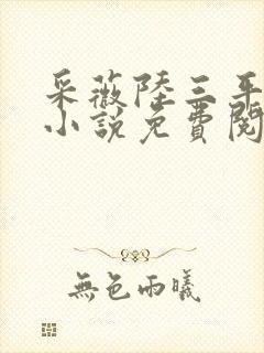 采薇陆三平养父小说免费阅读