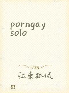 porngaysolo