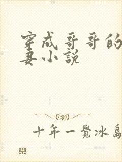 穿成哥哥的未婚妻小说