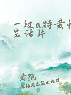 一级a特黄性色生活片