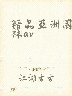 精品亚洲国产丝袜av