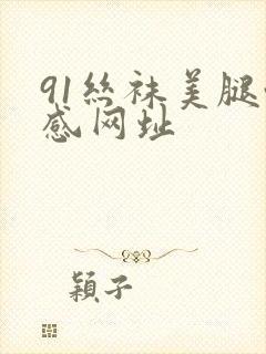 91丝袜美腿性感网址
