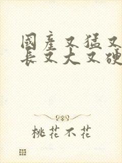 国产又猛又粗又长又大又硬又爽又黄视频