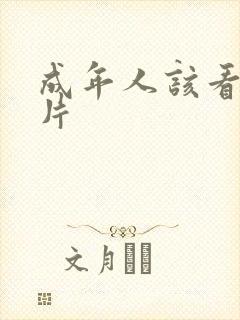 成年人该看的毛片