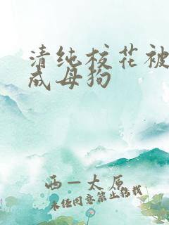 清纯校花被调教成母狗